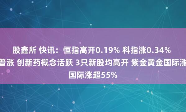 股鑫所 快讯：恒指高开0.19% 科指涨0.34% 黄金股普涨 创新药概念活跃 3只新股均高开 紫金黄金国际涨超55%