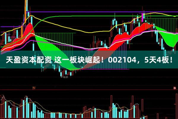 天盈资本配资 这一板块崛起！002104，5天4板！