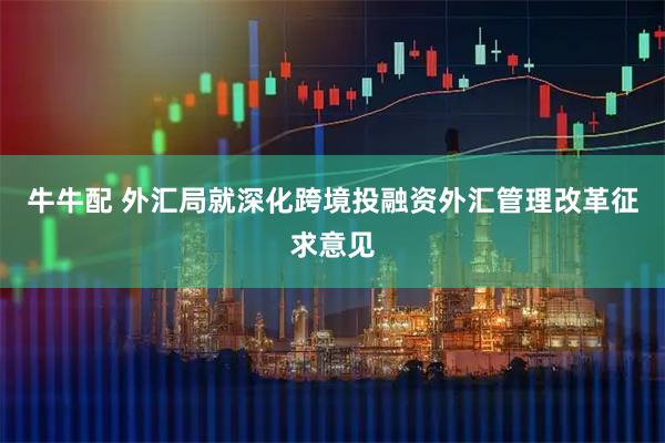 牛牛配 外汇局就深化跨境投融资外汇管理改革征求意见
