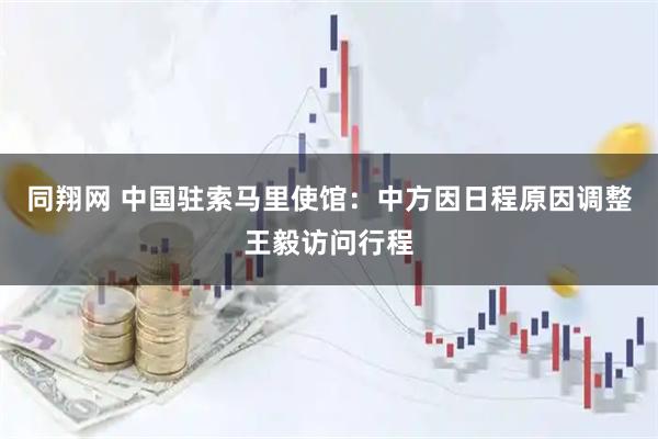 同翔网 中国驻索马里使馆：中方因日程原因调整王毅访问行程